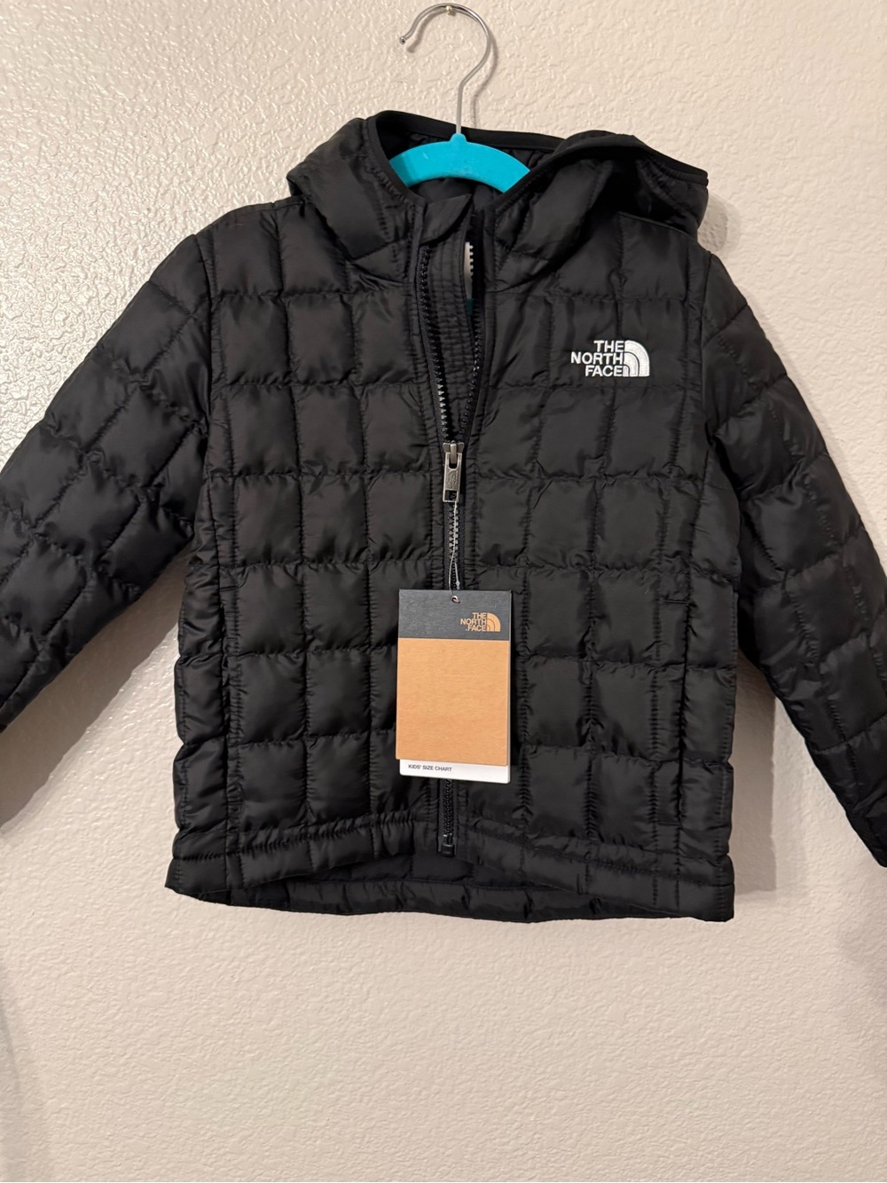 The North Face Kids Black Puffer Jacket